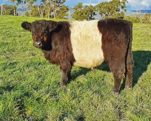 Belted Galloway Cow Diamond Painting