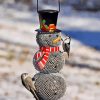 Black Hat Snowman With Bird Diamond Painting