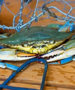 Blue Crab Diamond Painting