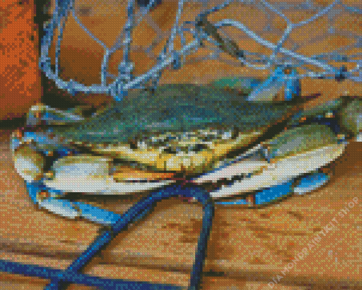 Blue Crab Diamond Painting