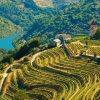 Douro Valley Diamond Painting