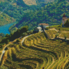 Douro Valley Diamond Painting