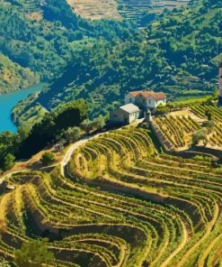 Douro Valley Diamond Painting