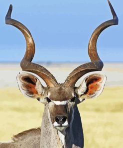 Kudu Animal Close Up Diamond Paintings