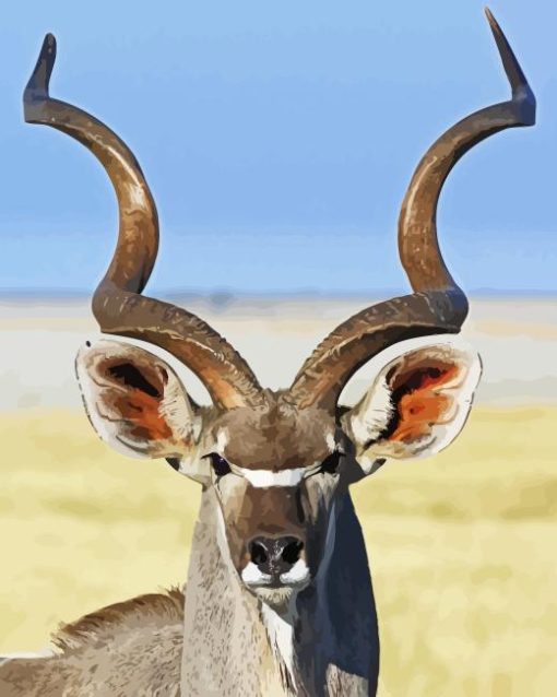 Kudu Animal Close Up Diamond Paintings