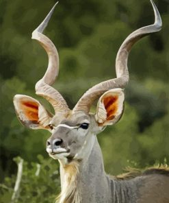 Aesthetic Kudu Animal Diamond Paintings