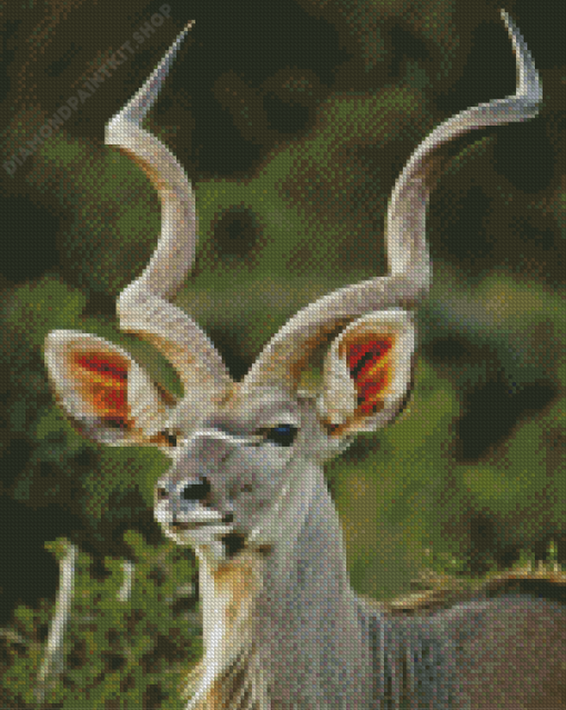 Aesthetic Kudu Animal Diamond Paintings