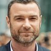 Liev Schreiber Diamond Painting