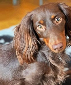 Long Hair Dachshund Diamond Painting