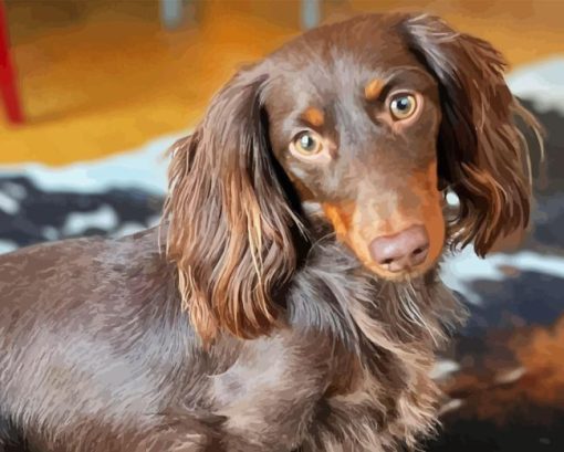 Long Hair Dachshund Diamond Painting