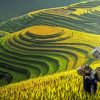 Mother And Daughter In Rice Terraces Diamond Painting