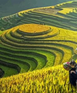 Mother And Daughter In Rice Terraces Diamond Painting