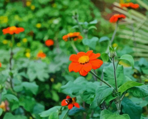 Orange Tithonia Rotundifolia Diamond Painting