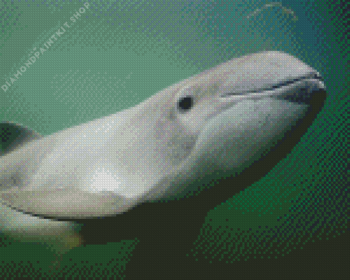 Porpoise Diamond Painting