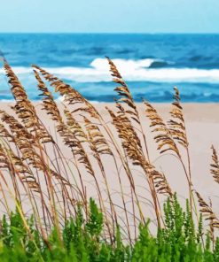 Sea Oats Diamond Painting