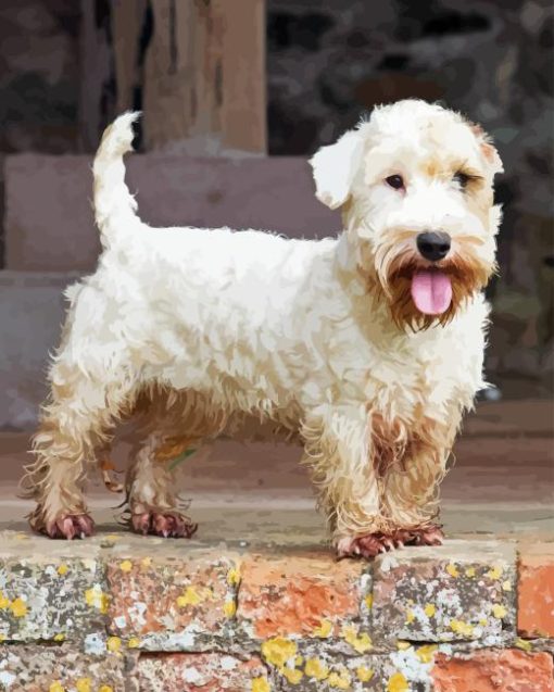 Sealyham Terrier Diamond Painting