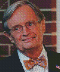 David Mccallum Diamond Painting