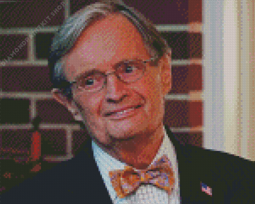 David Mccallum Diamond Painting