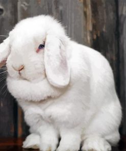 Holland Lop Diamond Painting