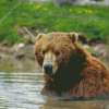 Kodiak Bear Animal Diamond Painting