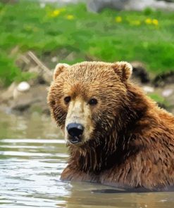 Kodiak Bear Animal Diamond Painting