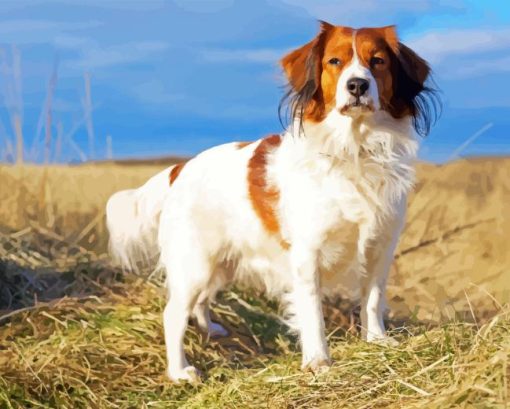 Kooikerhondje Dog Diamond Painting