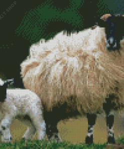 Scottish Black Faced Sheep And Lamb Diamond Painting