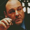 Tony Soprano Diamond Painting