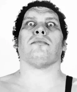 Andre The Giant Diamond Painting