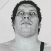 Andre The Giant Diamond Painting