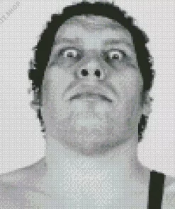 Andre The Giant Diamond Painting