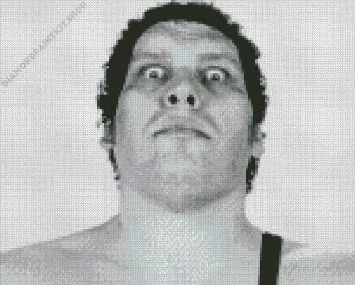 Andre The Giant Diamond Painting