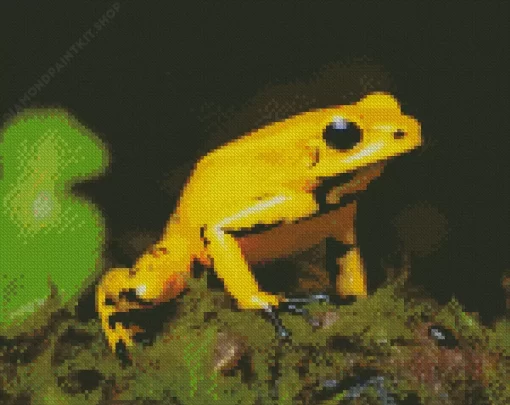 Black Legged Poison Dart Frog Diamond Painting