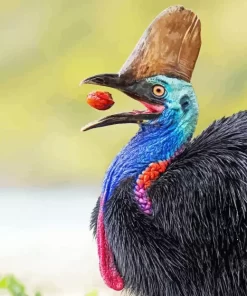 Cassowary Diamond Painting