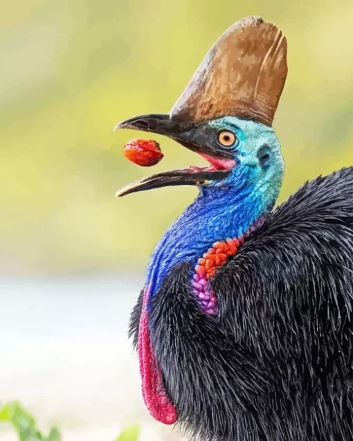 Cassowary Diamond Painting