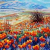 Desert poppy Art Diamond Painting