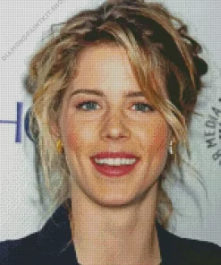 Emily Bett Rickards Diamond Painting