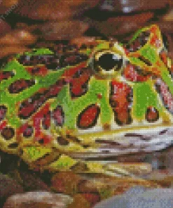 Horned Frog Diamond Painting