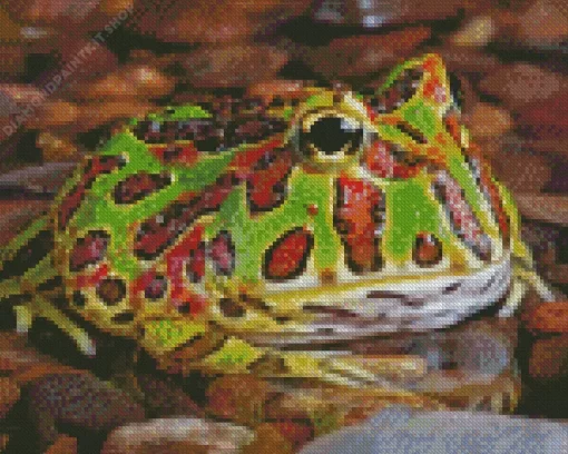 Horned Frog Diamond Painting