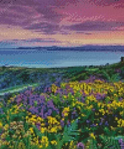 Irish Flowers Field Diamond Painting