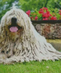 Komondor Diamond Painting