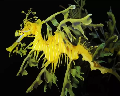 Leafy Seadragon Diamond Painting