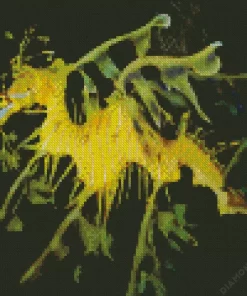 Leafy Seadragon Diamond Painting