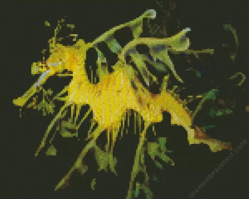 Leafy Seadragon Diamond Painting