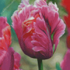 Pink Parrot Tulips Diamond Painting