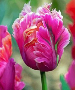 Pink Parrot Tulips Diamond Painting