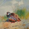 Red Legged Partridge Diamond Painting