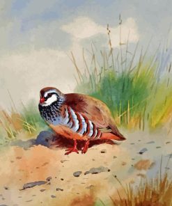 Red Legged Partridge Diamond Painting