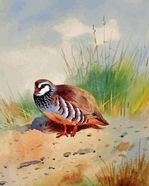 Red Legged Partridge Diamond Painting