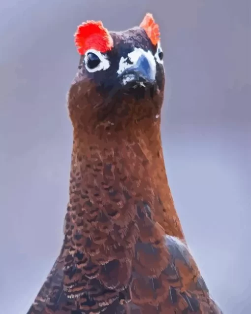 Willow Ptarmigan Diamond Painting